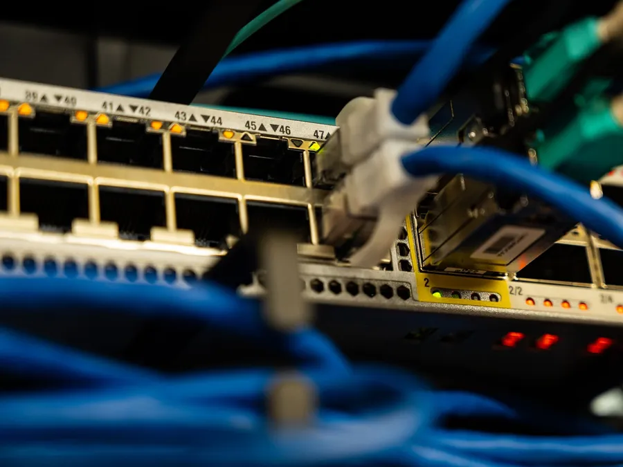 Close-up of blue Ethernet cables plugged into the ports of a network switch with small status lights